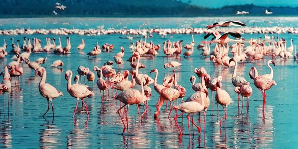 Comment organiser une fête en n’oubliant aucun détail ?